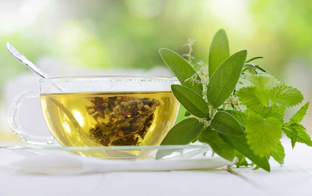 genitalne_bradavice-zelišča